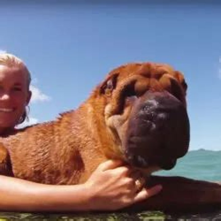 Bethany Hamilton Pets
