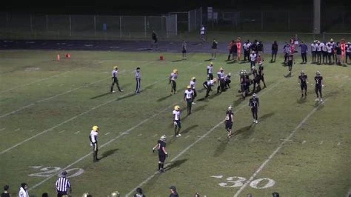 David Patterson Highlights