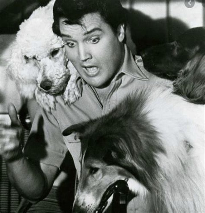 Elvis Presley Pets