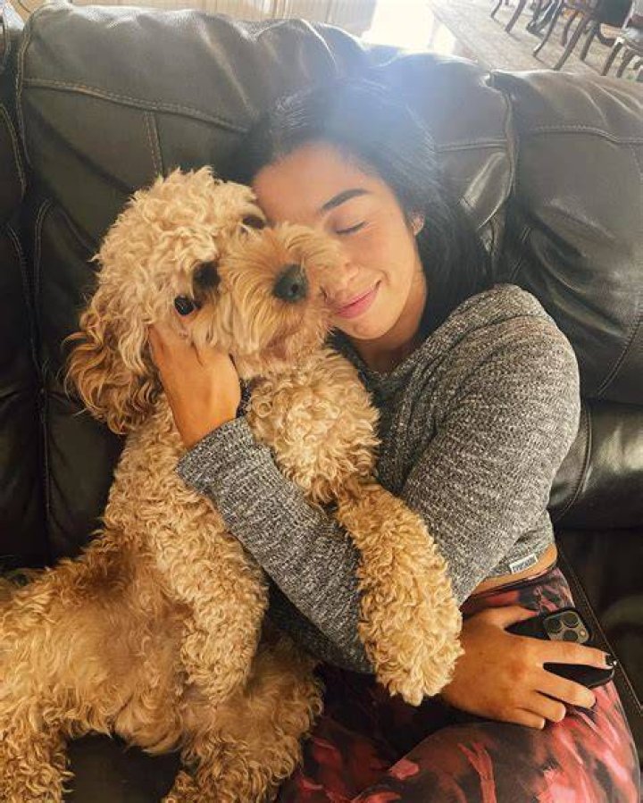 Indi Hartwell Pets