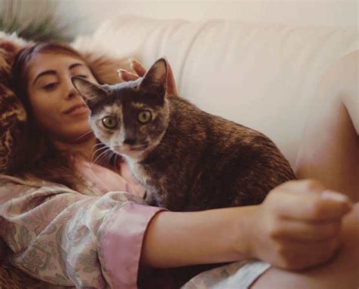 Kali Uchis Pets