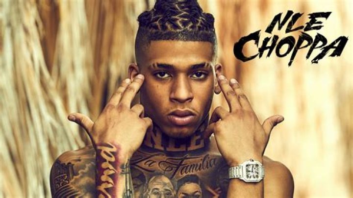 NLE Choppa's pet Kingston