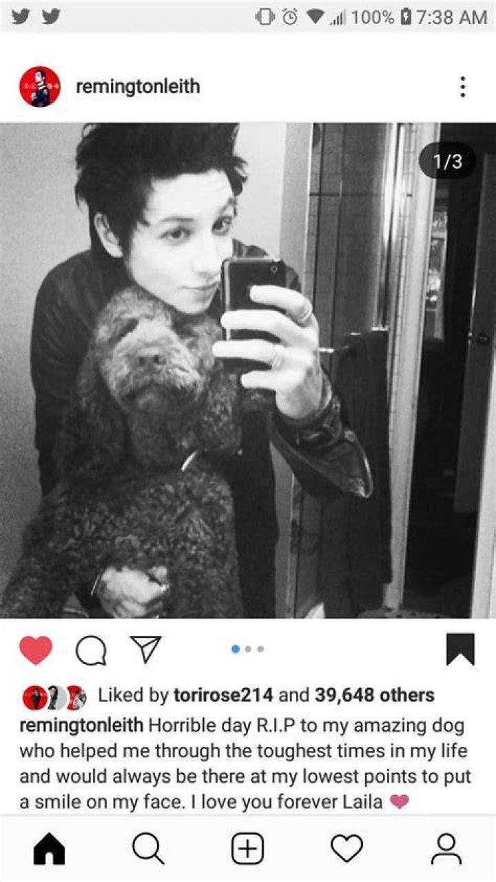 Remington Leith Pets