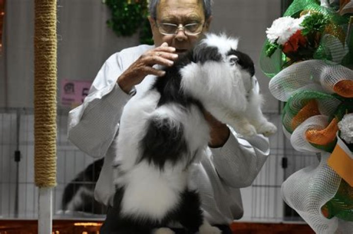 Robert L. Selman Pets
