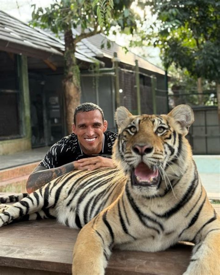 Tiger Instagram