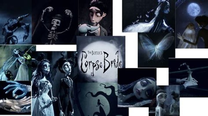 Tim Burton's pet Levi
