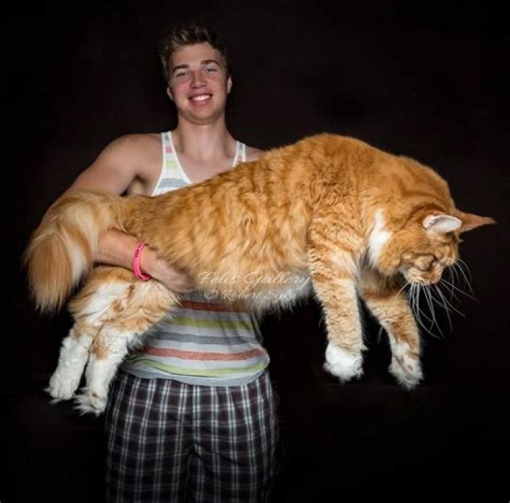 With His Big Cat